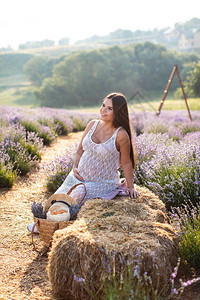 微笑的孕妇坐在紫罗兰色薰衣草田的干草捆上图片
