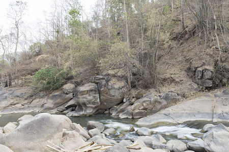 流过森林小溪中石头的水流图片