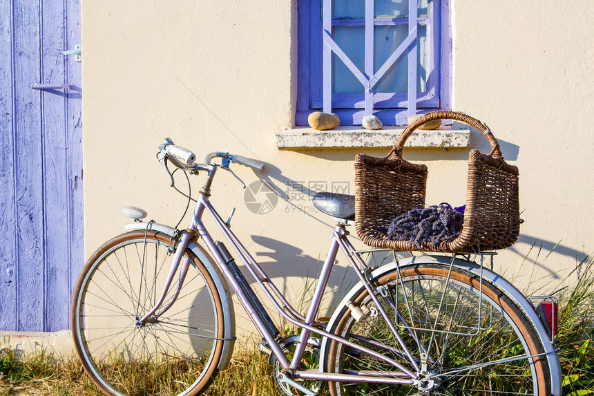 法国普罗旺斯Valensole附近薰衣草田附近的农舍带着自行车图片