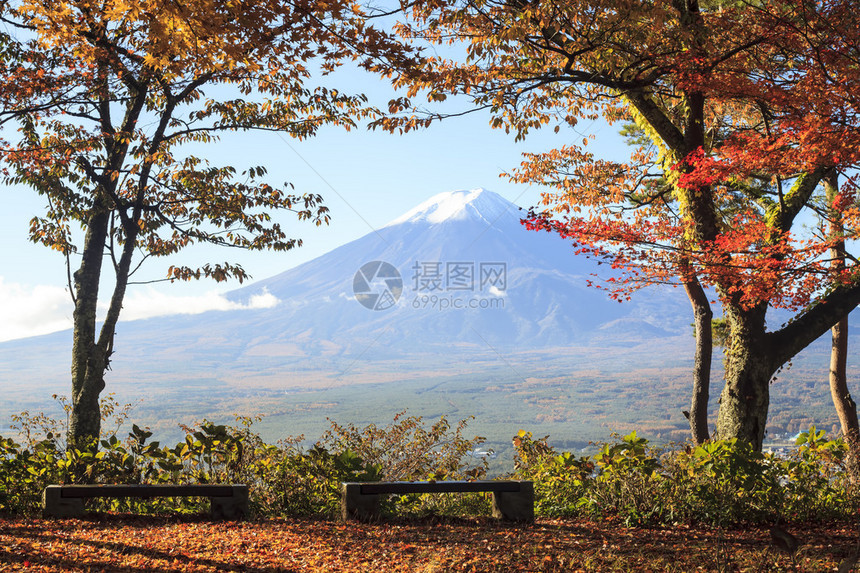 在日本有秋色的富士山用于ad图片