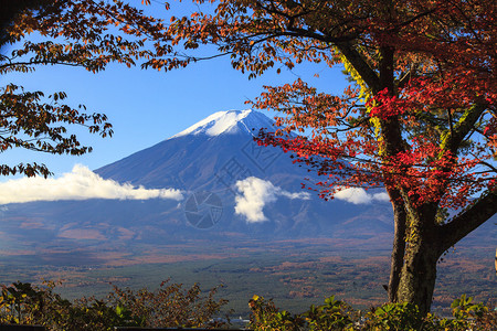 日本富士山秋季黄色图片