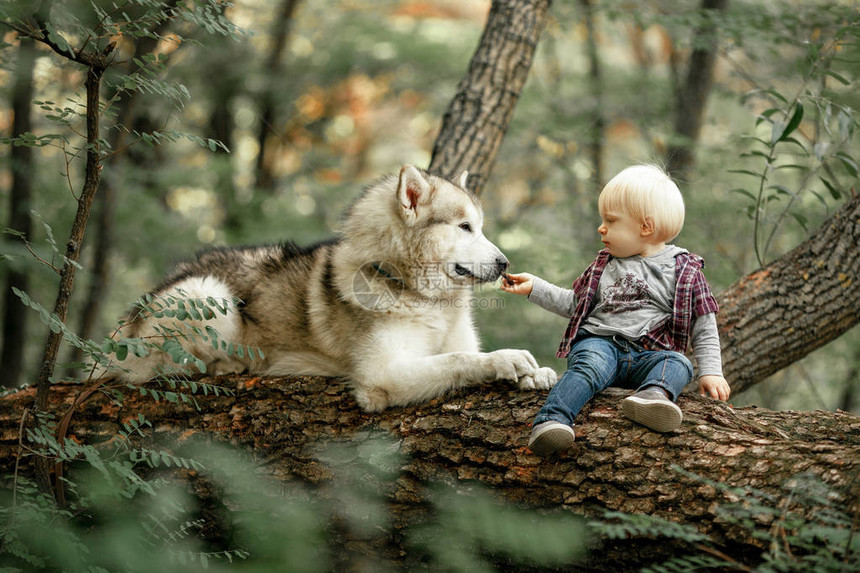 小男孩坐在森林里的树干上图片