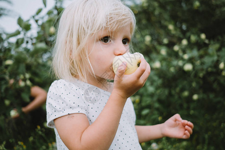 吃苹果的可爱小女孩肖像背景图片