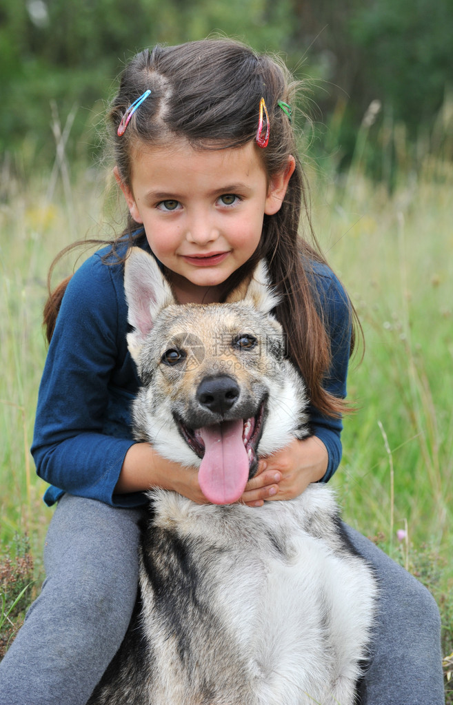 小女孩和她的宝贝纯种狼狗图片