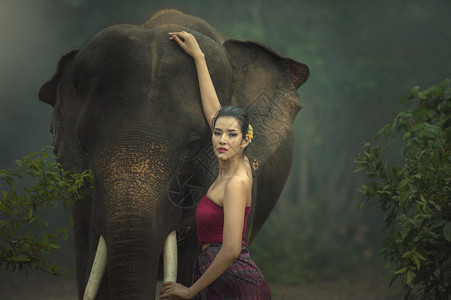 大象和穿传统衣高清图片