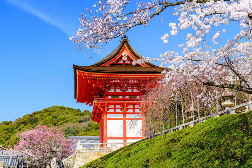 日本京都春天在清水寺图片