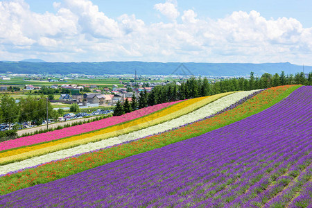 日本北海道美丽的花园图片