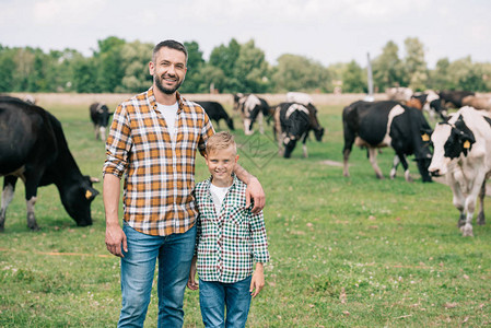 父亲和儿子在农场放牧牛群附近图片