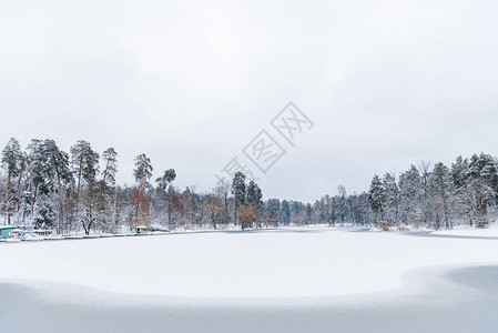 美丽的风景雨雪覆盖树木冬季公背景图片