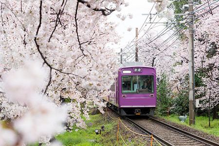 京都当地火车在铁路上行驶图片