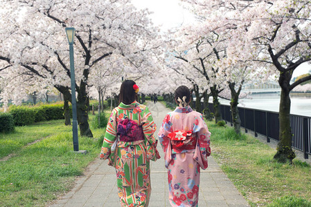 在日本大阪的Sakura花园里图片