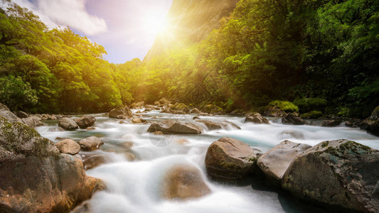 山背景雨林中的岩石河流景观拍摄于新西兰南岛峡湾公园米尔福德峡湾附图片