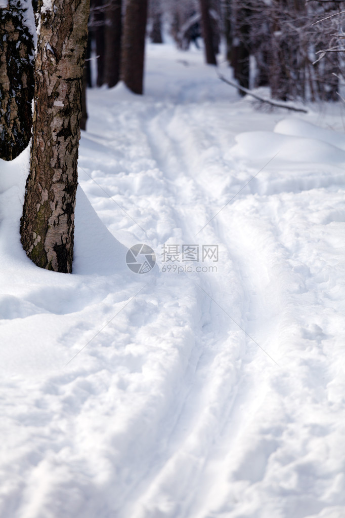 越野森林滑雪道图片