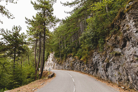 美丽的山地道路环绕着松图片