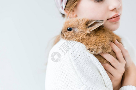 白被孤立的长着可爱毛皮兔子的幼图片