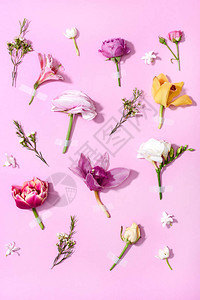 美丽的鲜花的顶端景色在粉图片