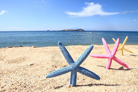 夏天海滩上五颜六色的海星图片