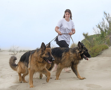 女人在沙滩上遛狗图片