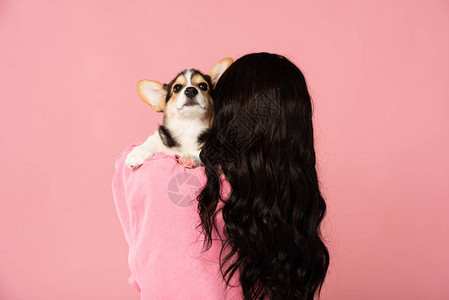 黑发女孩抱着柯基小狗的后视图图片