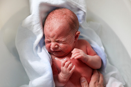 刚出生的新生男婴只洗了几个小图片