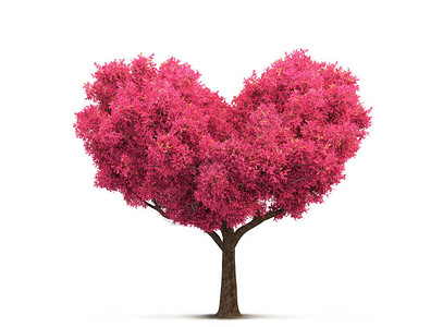 粉色樱花树心形3D插图图片