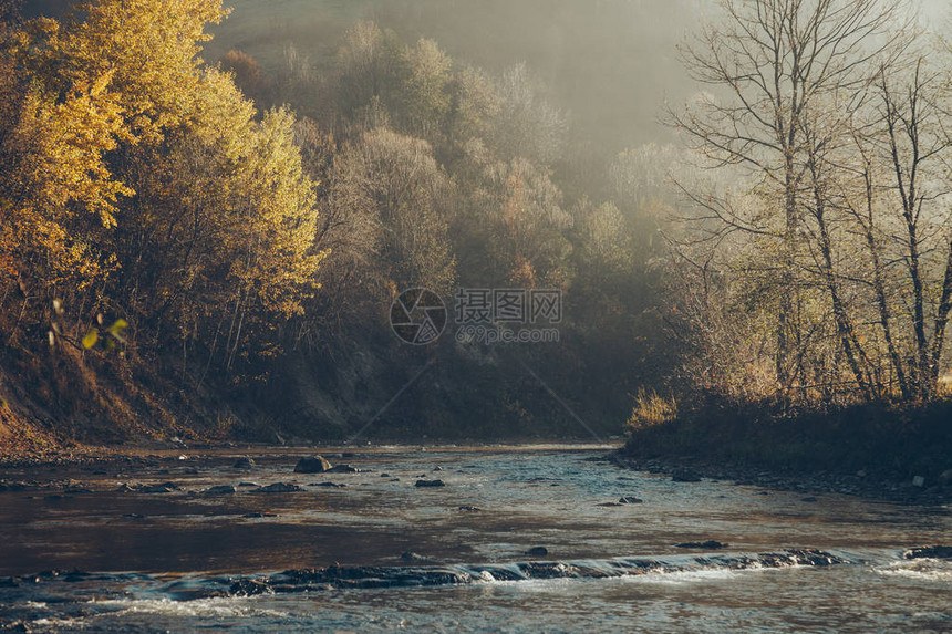 山河和美丽的金树的戏剧拍摄喀尔巴阡图片