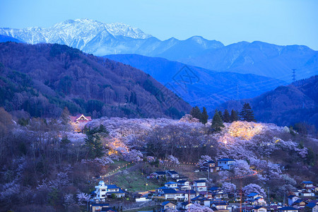 樱桃花月光和日本阿尔卑斯山日本长野图片