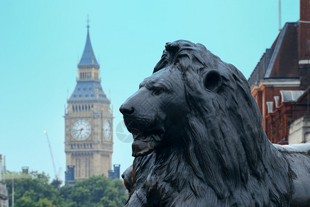 特拉法加广场狮子雕高清图片