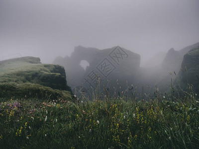 冰岛西部峡湾迷雾峭壁上的绿草图片