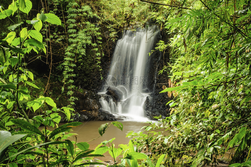 美丽的瀑布在哥斯达黎加图片