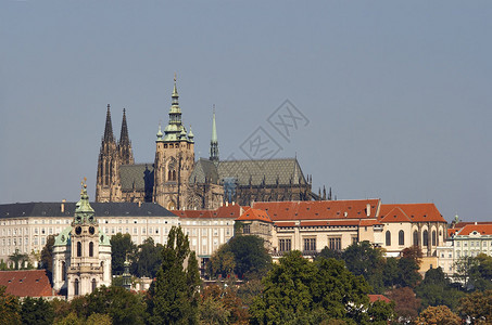 布拉格城堡中的圣维特大教堂图片