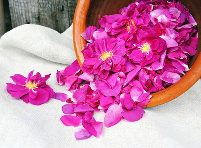 可食用的玫瑰花瓣用于制作香果酱图片
