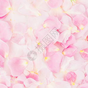 嫩粉色花瓣背景图片