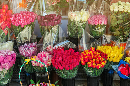 花店里美丽的郁金香花束图片