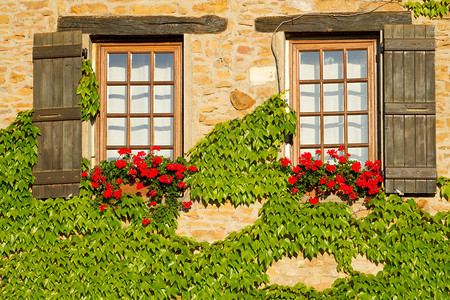 法国勃艮第的美丽窗户图片