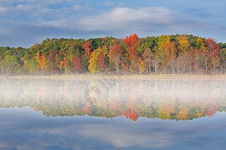 美国密歇根州安基斯普林斯州立公园秋天风景高清图片