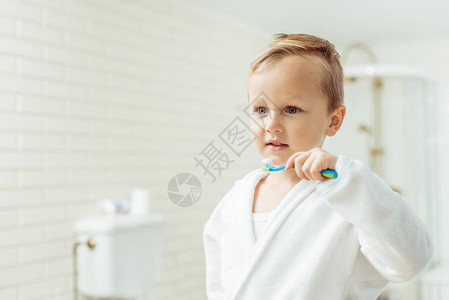 穿着浴袍刷牙的可爱小男孩图片