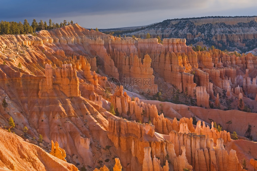 美国犹他州犹他州BryceCanyon公图片