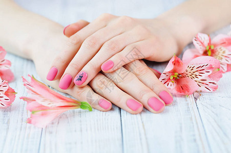 在指甲和精致的花朵上用粉红配成的指甲修图片