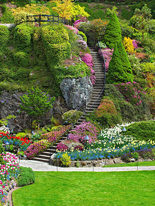 不列颠哥伦比亚省维多利亚州Butchart花园图片