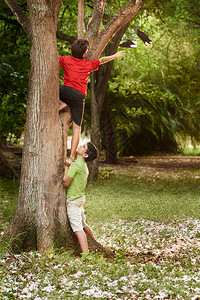 两个孩子互相帮助在树上攀爬并图片