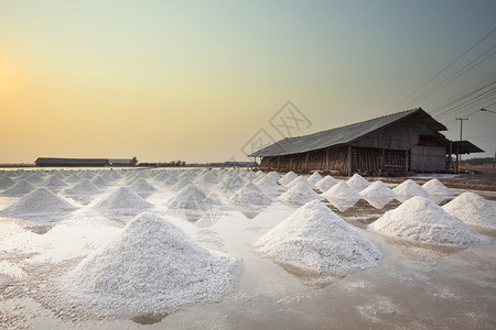 泰河以中央沿海地区的食盐农场业图片