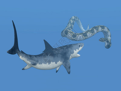 巨蛇计算机生成了3D插图用大白鲨和已灭绝设计图片
