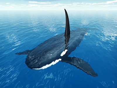 黑鱼计算机生成了3D插图设计图片
