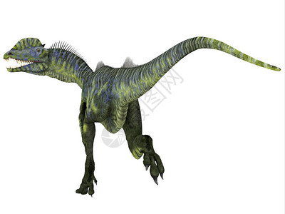 双脊龙是侏罗纪时期生活在美国亚利桑那州的大型食肉高清图片