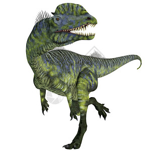 双脊龙是侏罗纪时期生活在美国亚利桑那州的大型食肉图片