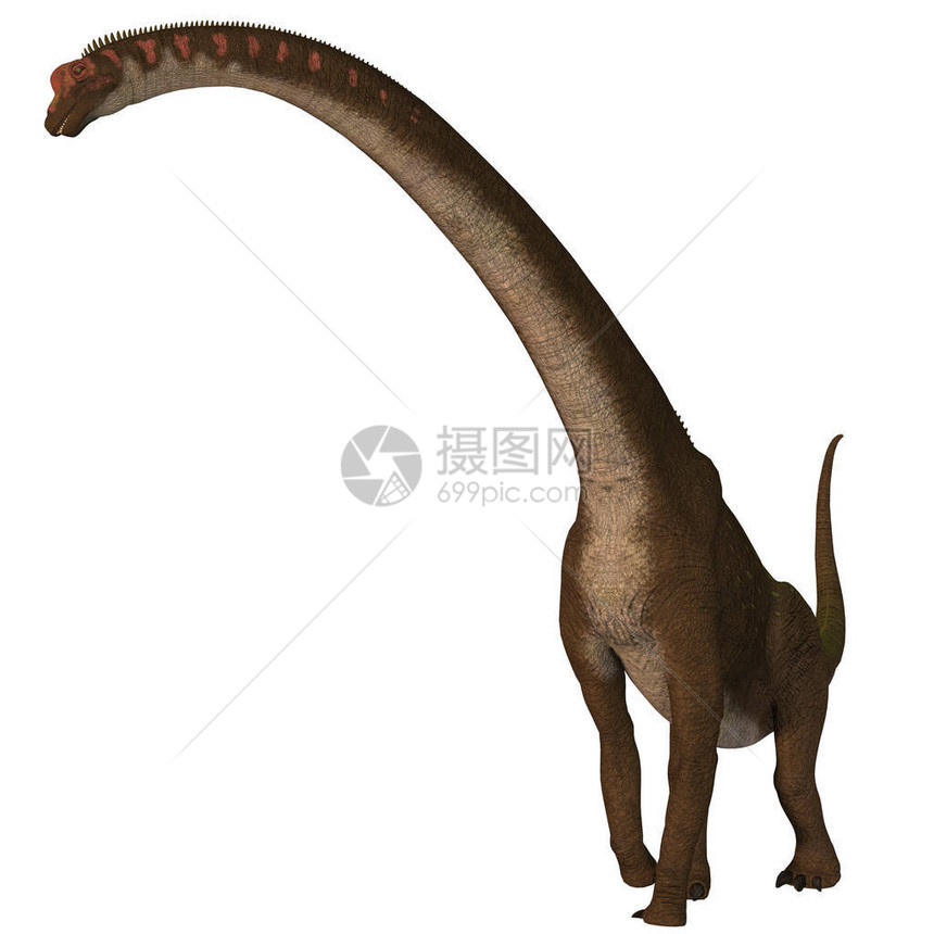 Giraffatitan是侏罗纪时期生活在非洲的一种食草动图片