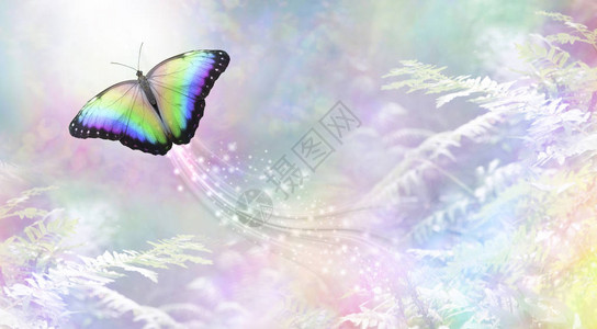 一只彩虹色的蝴蝶朝着白光前进图片