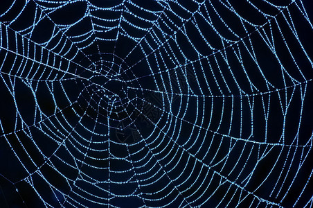 蜘蛛网的特写镜头与闪发光的露珠背景图片