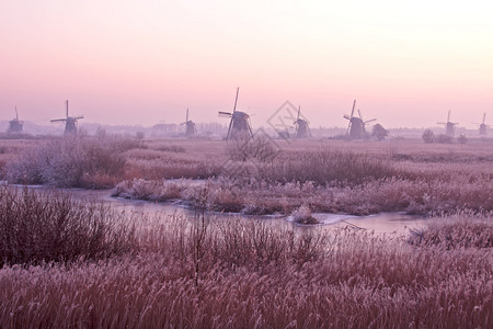 荷兰冬季的紫色日落背景图片